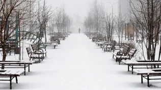 Ikea decidió pausar su producción y sus ventas tanto en Rusia como en Bielorrusia.