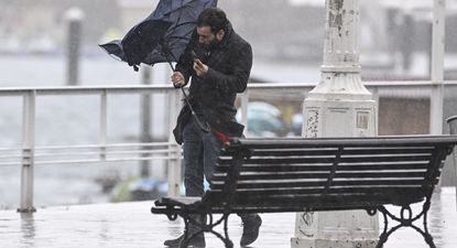 El Observador | 4cc06f44402ba6b966d378bfbf8dadeb76acf5f5w