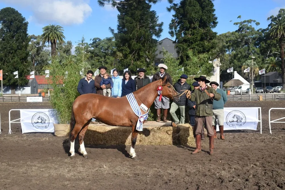 La Gran Campeona, de Santa Genoveva.