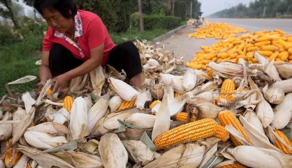 China no se queda atrás en el comercio de granos