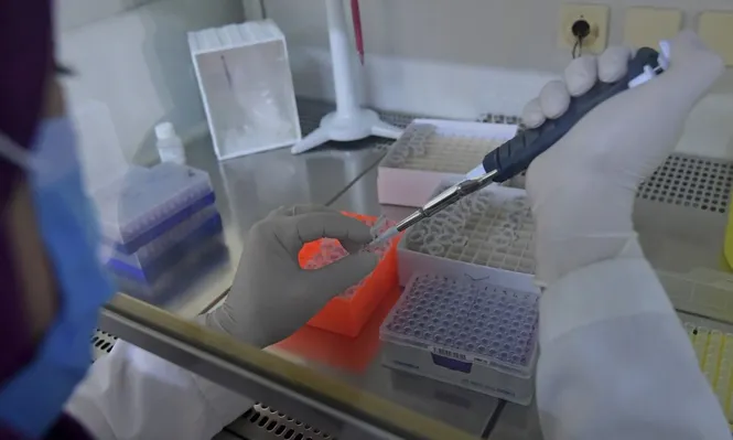 Los tests PCR detectan la presencia del coronavirus SARS-CoV-2 en el cuerpo