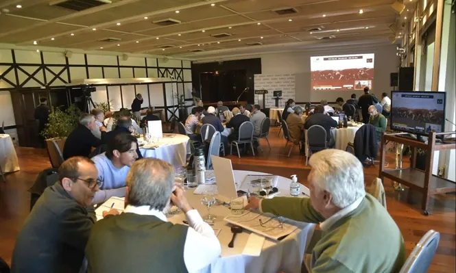Lote 21 rematará desde el Club de Golf del Uruguay.