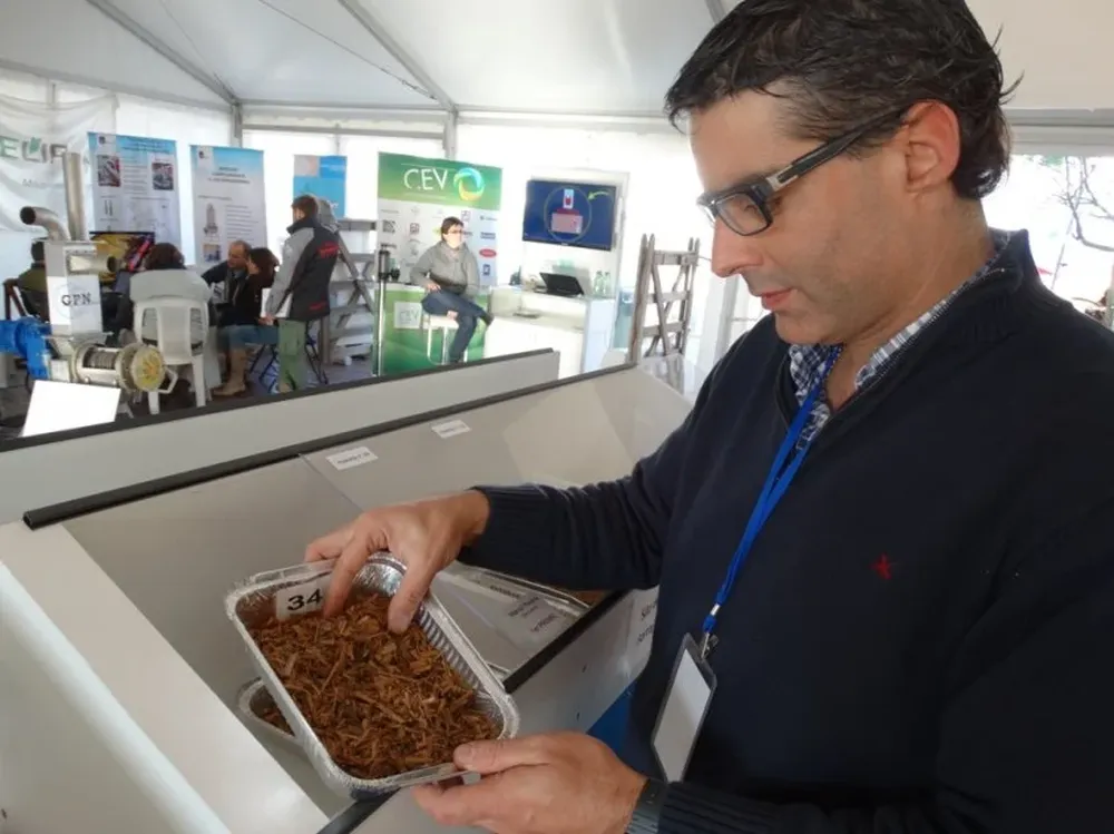 El concurso de reservas forrajeras de Prolesa viene creciendo en la cantidad de participantes