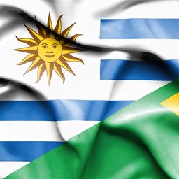 Yerba, pasta de dientes y más: los productos que se pueden importar sin impuestos en la frontera con Brasil