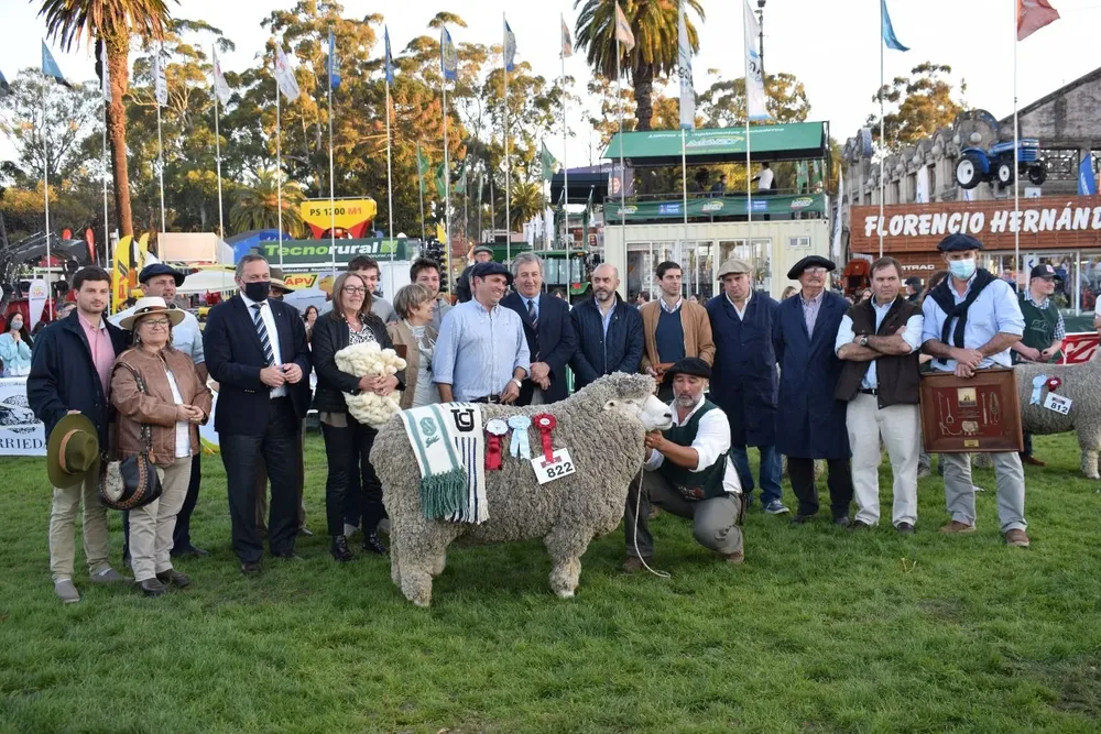 El Gran Campeón pedigrí en la pista Corriedale.