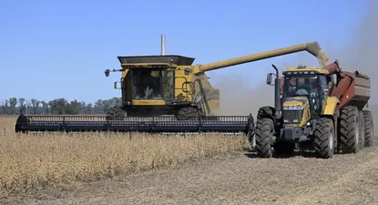Cosecha de verano: se atrasó y no se ha llegado a recolectar el grano ni en la mitad del área sembrada.