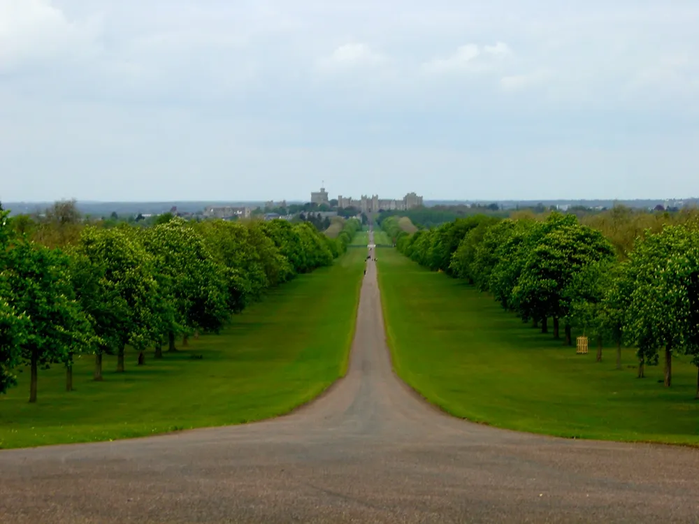 Los viñedos de la Reina