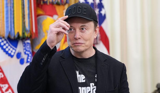 Elon Musk da un paso al costado del gobierno de Trump.