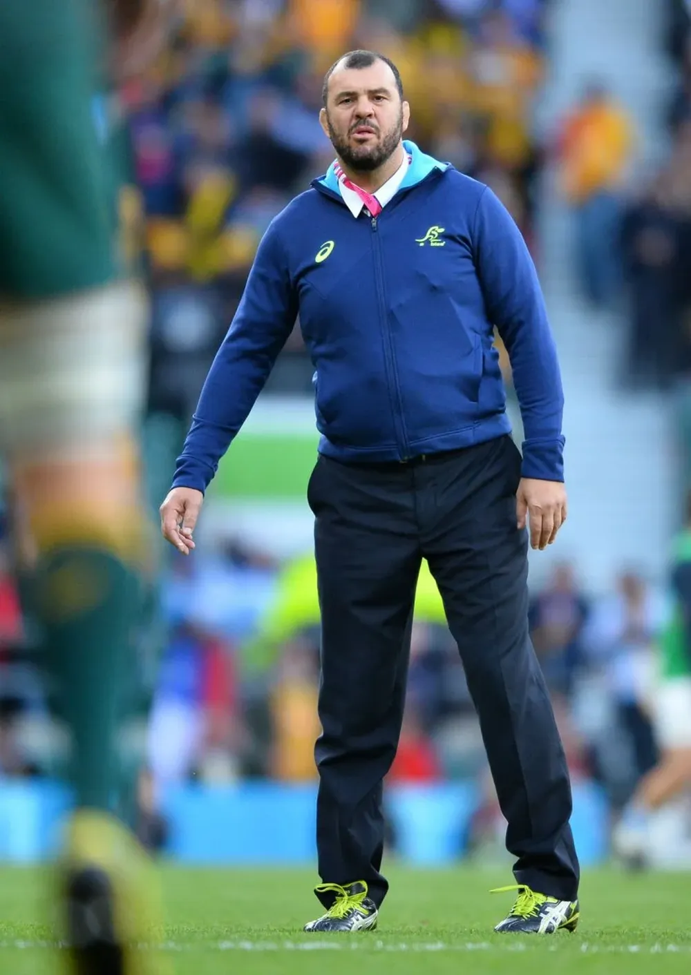 Michael Cheika