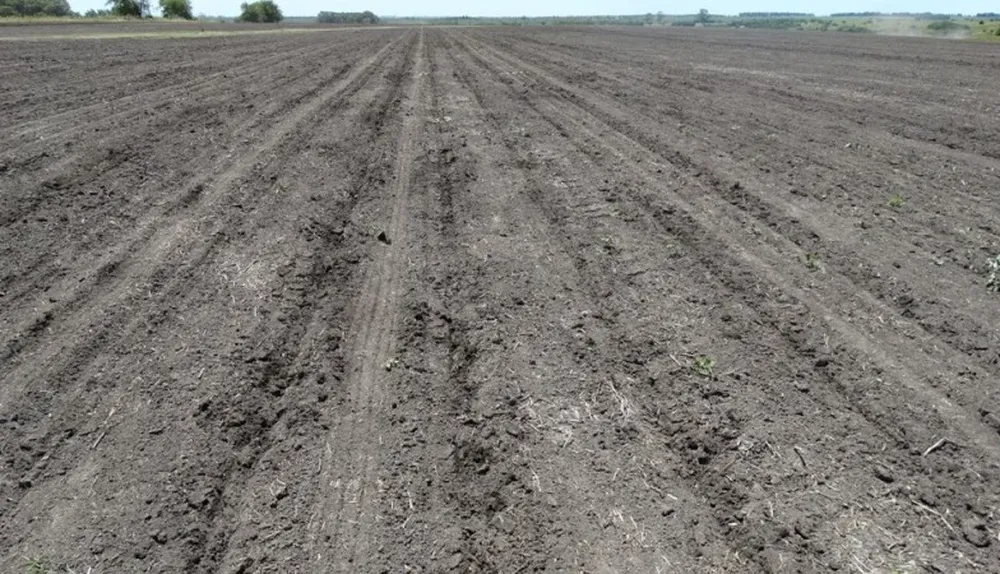 Las lluvias también se necesitan para una correcta implantación de los cultivos de invierno