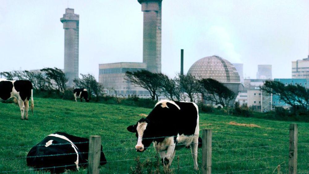 https://www.bbc.com/mundo/articles/c4g2x23el61o
