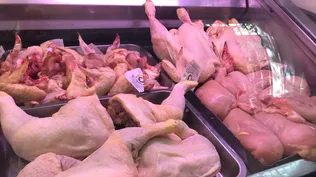 La producción de pollo nacional ha bajado.