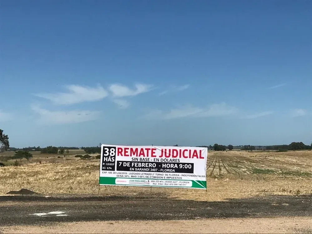 Magliano remata campo cercano a San José.