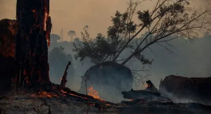 Este año los incendios en la Amazonía han sido mucho más severos que en 2018.