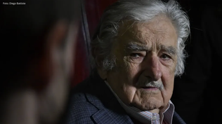 José Mujica en su chacra de Rincón del Cerro durante una entrevista con El Observador. Archivo