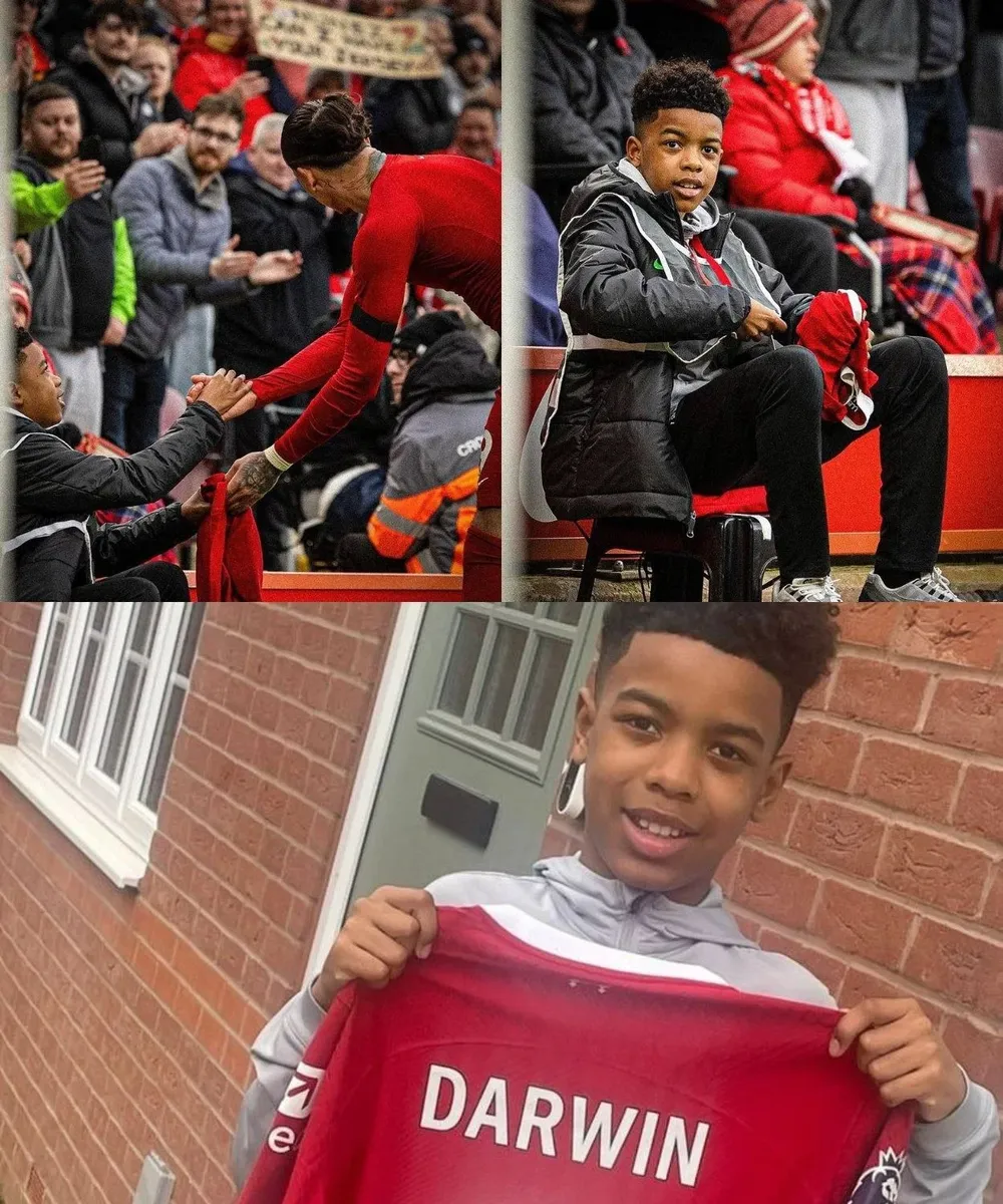 La camiseta de Darwin para el alcanzapelotas