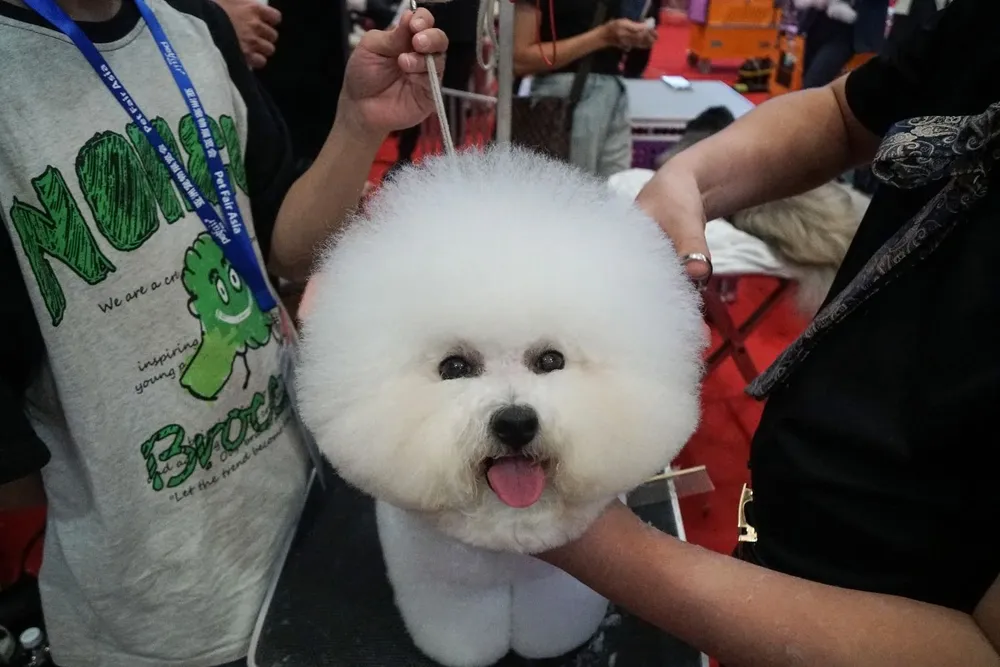 Pet Fair Asia dura varios días y sus organizadores aseguran que el tamaño de este año es inédito, con más de 2.000 expositores