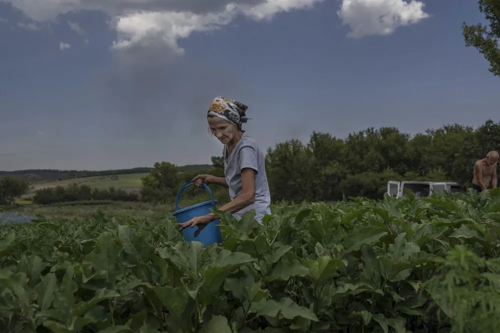 Producir en Ucrania, un desafío mayúsculo.