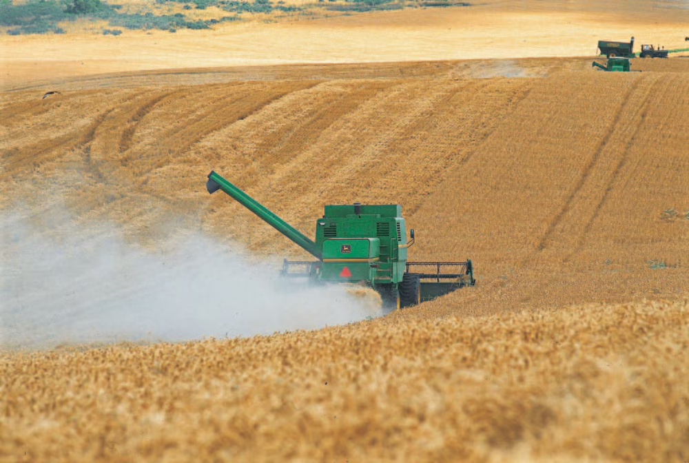 Producción y exportaciones agroindustriales argentinas en 2025: proyecciones y desafíos