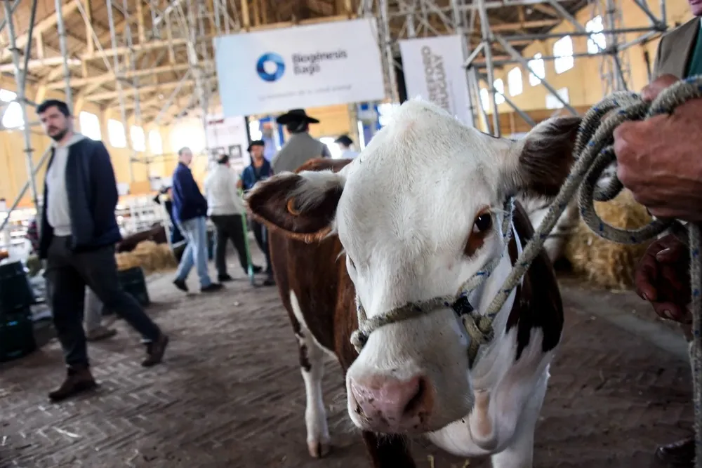 En la exposición de la ARU se pueden ver varias razas de diferentes animales.