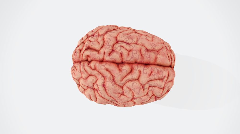 Durante un estudio accidental, se detectó una masiva secreción de serotonina en ratas fallecidas, planteando preguntas sobre posibles experiencias alucinatorias.