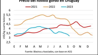 Mercados agropecuarios.