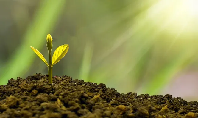 Nueve tips para una autoestima positiva