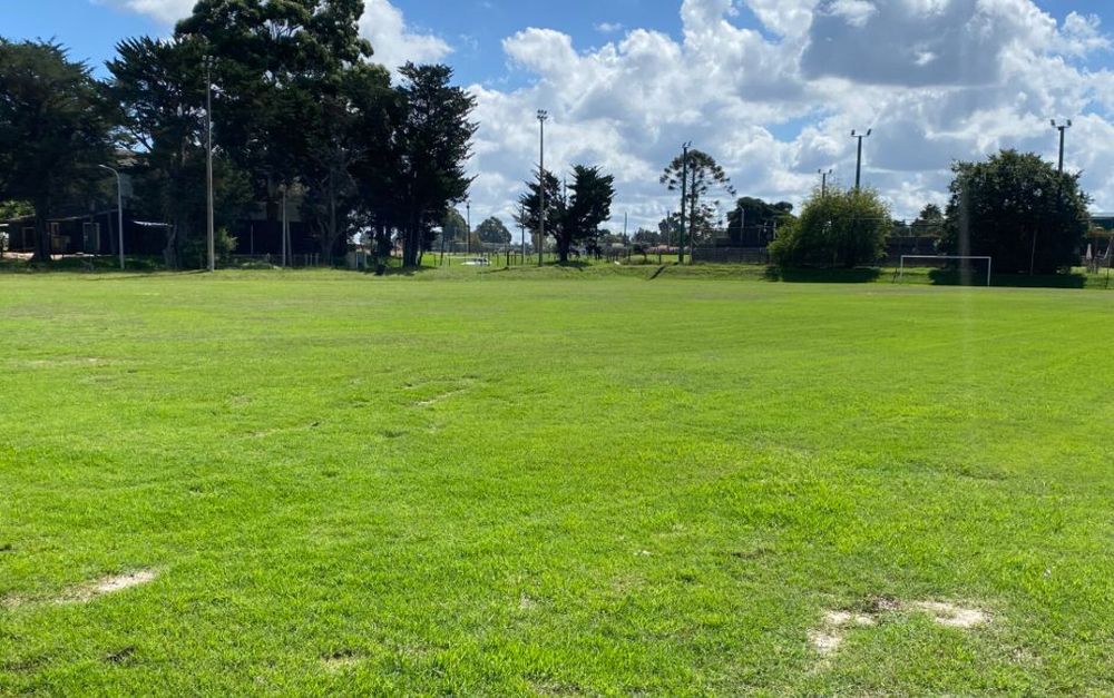 Archivo: cancha de Carrasco Polo