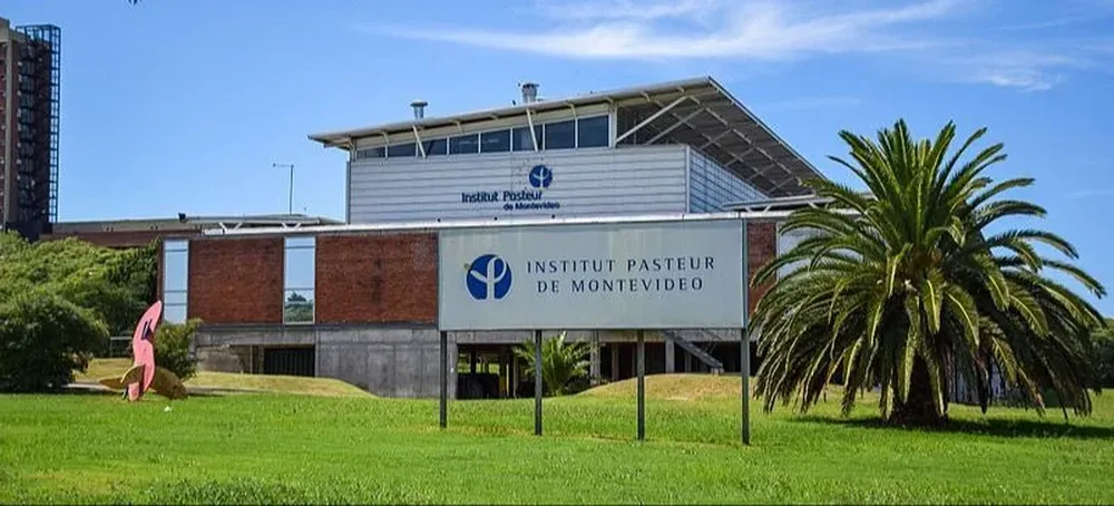 Los investigadores del Institut Pasteur y Udelar secuenciaron el genoma de dos parásitos