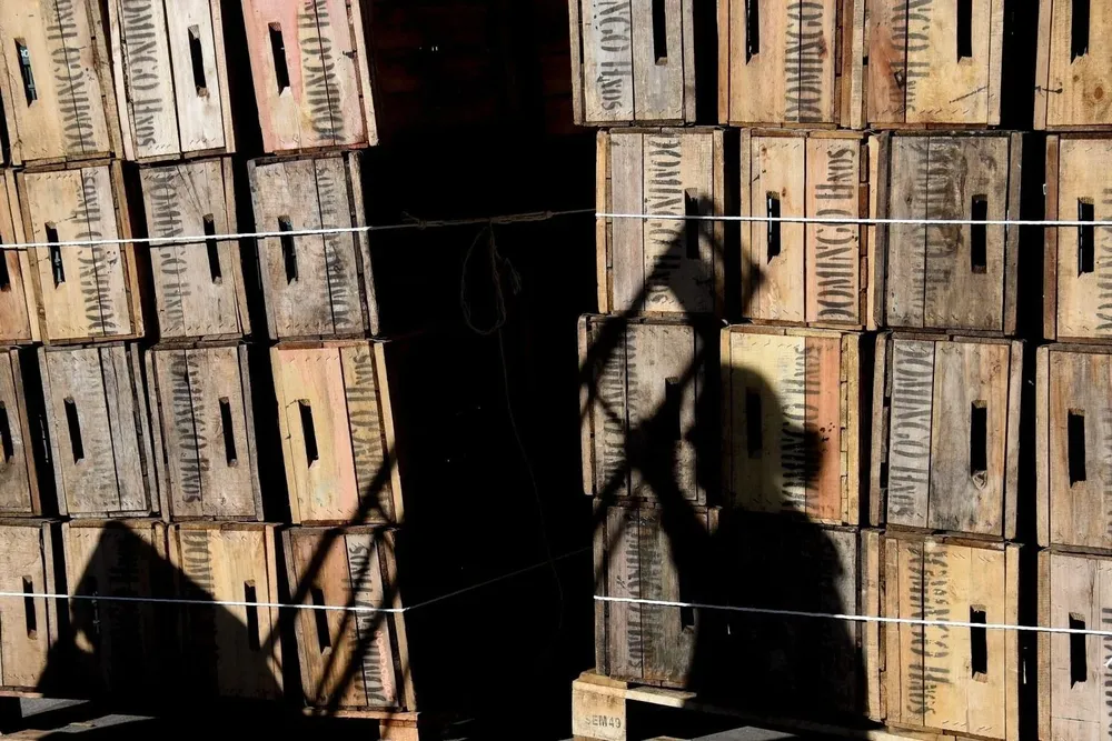 El beneficio alcanza a trabajadores de la UAM y vecinos del barrio.