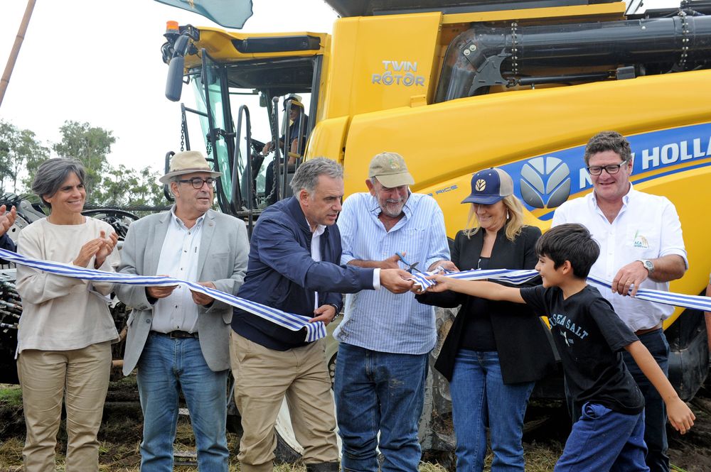 Inauguración de la cosecha de arroz, en Treinta y Tres, en un campo de los productores Juan Varalla y Álvaro Ribas.