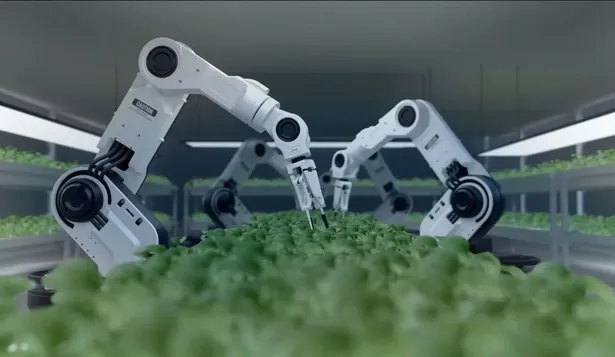 Terraflos invertirá US$ 2,5 millones en tres empresas locales de biotecnología.