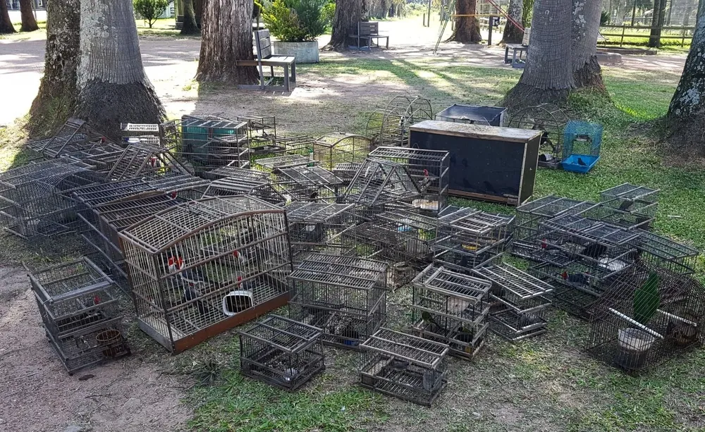 Es el tercer negocio ilegal más grande del mundo