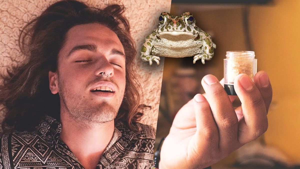 Cómo es el ritual del sapo bufo por el que Nacho Vidal es acusado de ...