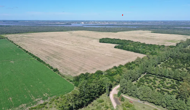 Predio de HIF Global donde se construirá la planta de producción de hidrógeno verde 