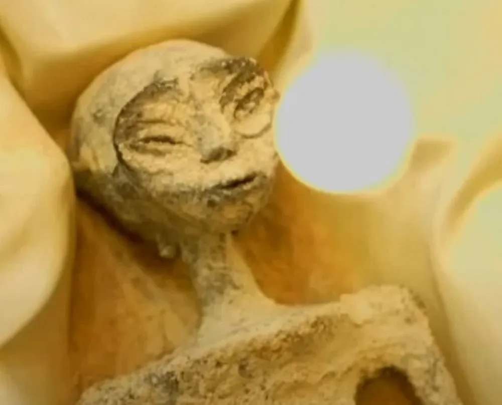 Uno de los ejemplares que mostraron en la actividad