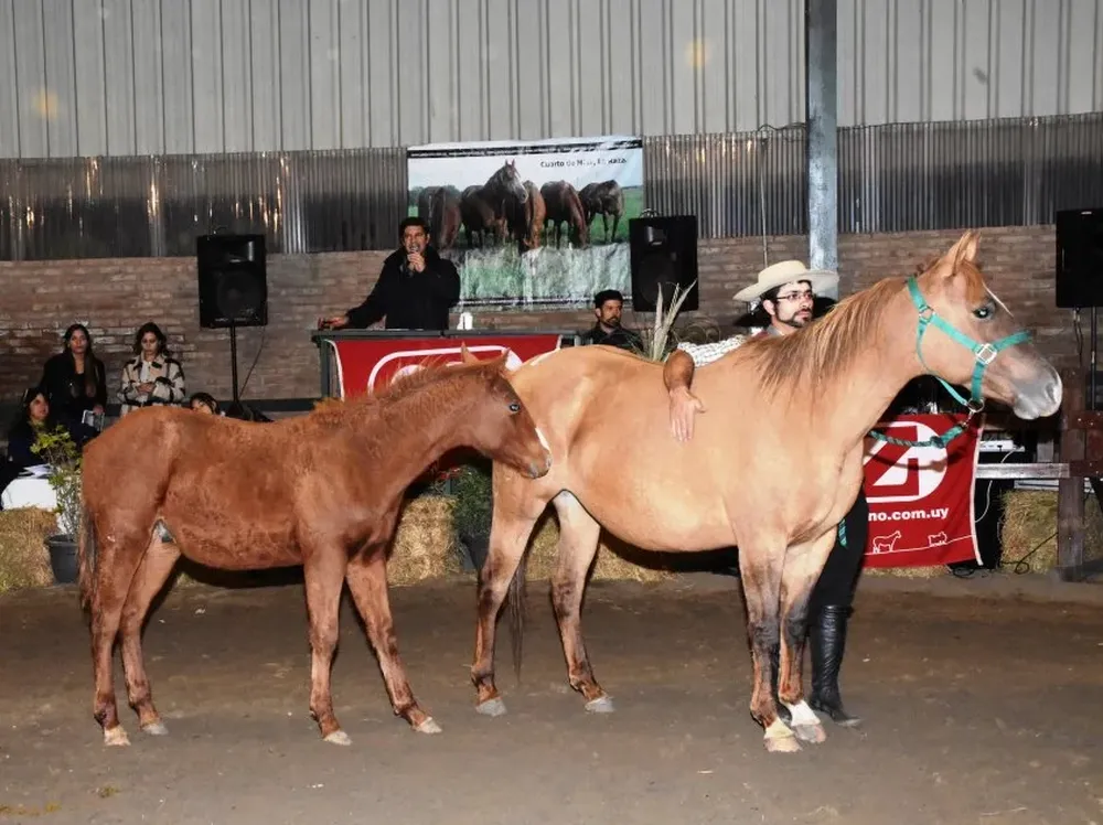 Se lograron muy buenos precios por los productos de las diferentes categorías