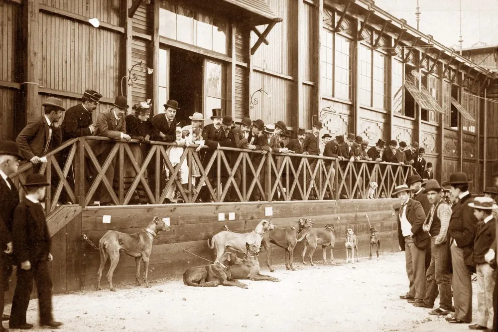 Muestra de la ARU del año 1895.