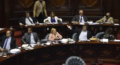 senado voto restringir los pases en comision de organismos publicos no estatales