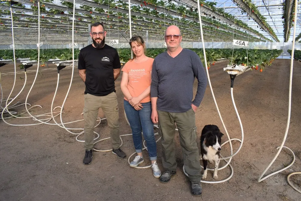 Marcelo, Laura y Fernando dentro del área de producción.
