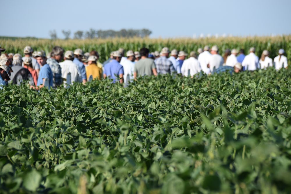 Expoactiva Nacional: ámbito ideal para que los productores estén al tanto de innovaciones (también en genética vegetal).