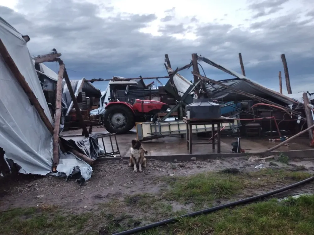 El galpón donde se prepara la producción para llevar al mercado quedó destrozado