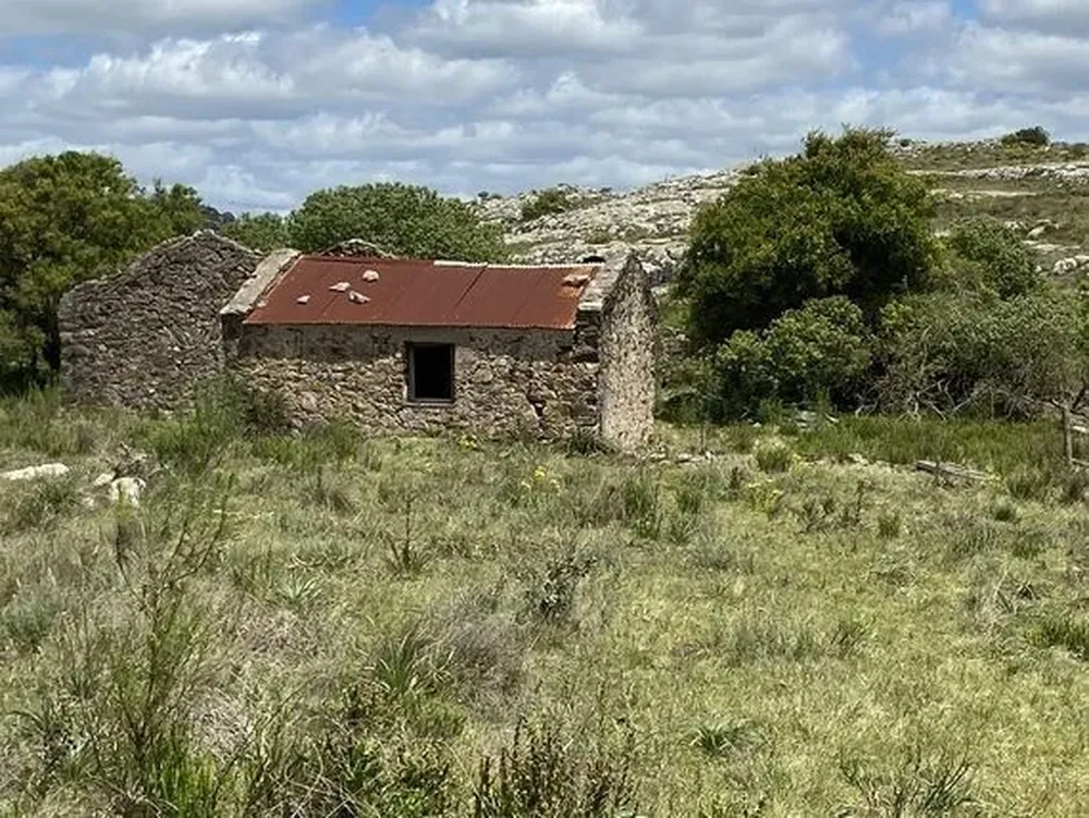 Campo próximo a Aiguá.