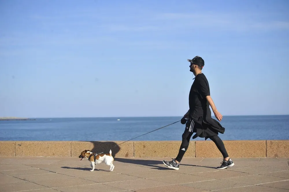 Hombre pasea a su perro por la rambla