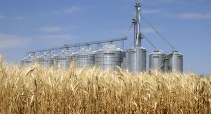 Aumento de alimentos reactivan presiones alcistas sobre inflación
