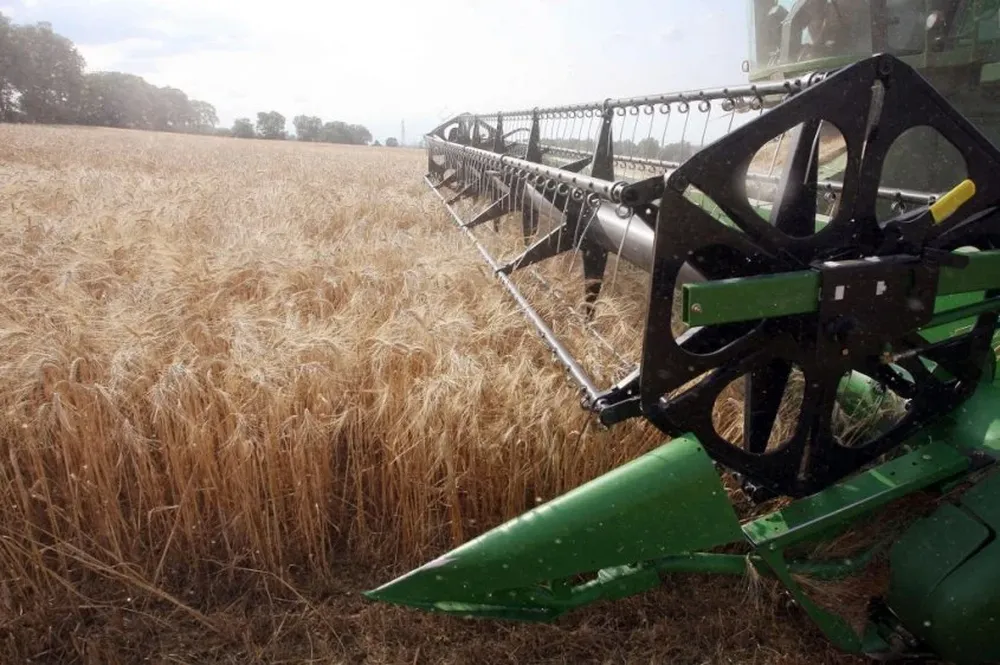 El USDA estimó que el área triguera avanzará, 6,2 millones de hectáreas