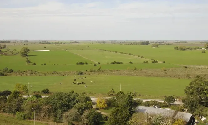 En 2020 el promedio de precio para la compraventa de tierras fue US$ 3.295/ha