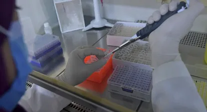 El Sinae actualizó los números de las últimas 24 horas, relativos al avance de la pandemia en Uruguay