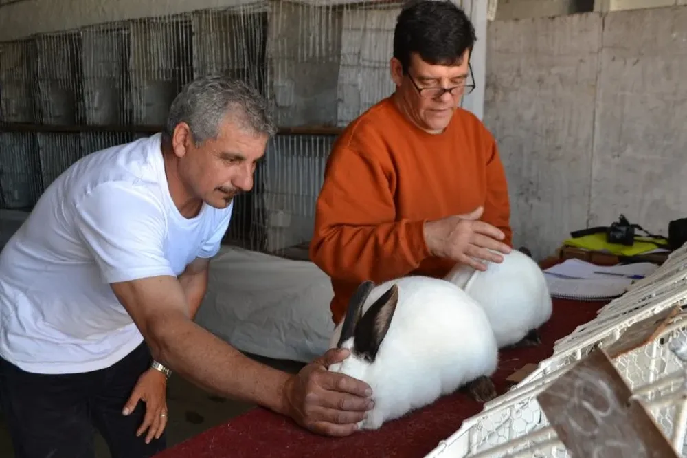 El jurado en plena tarea: José Luis Techeira y Gustavo Zicari.
