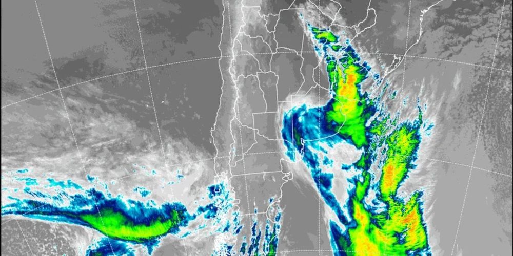 CICLOGÉNESIS EN VIVO